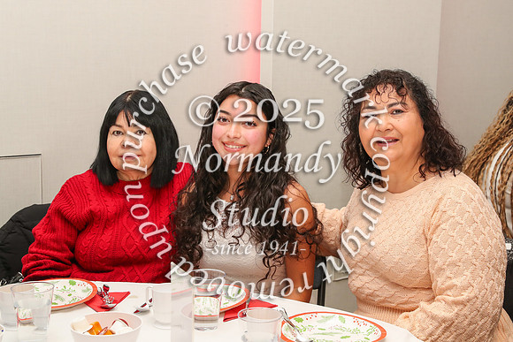 MSM_tea_42