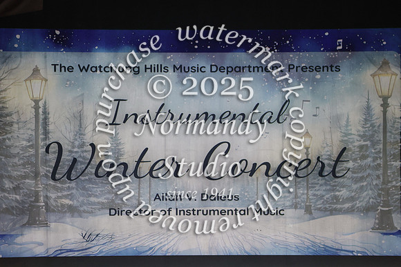 WTG_concert_02