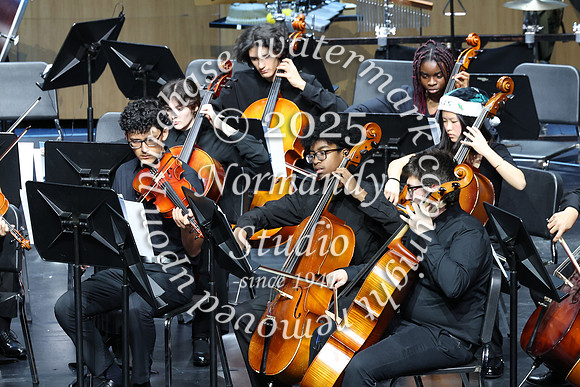WTG_concert_31