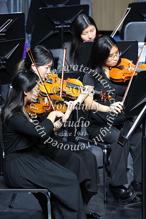 WTG_concert_41