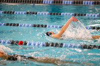 RAM_sw-g_16
