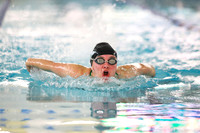 SWIMMING GIRLS
