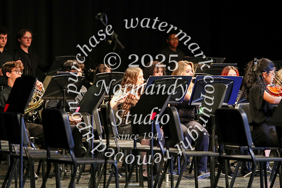 WMC-WMM_concert_39
