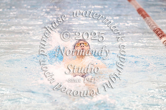 WMC_sw-b_31