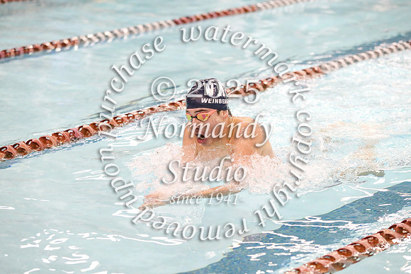 WMC_sw-b_02