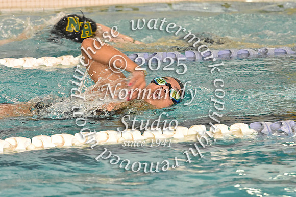SVL_sw-g_46