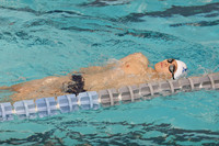 WHS_sw-b_04