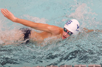 WHS_sw-b_02