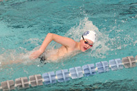 WHS_sw-b_07