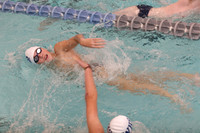 WHS_sw-b_08