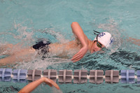 WHS_sw-b_10