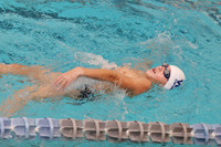 WHS_sw-b_15