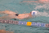 WHS_sw-b_12