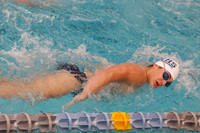 WHS_sw-b_16