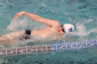 WHS_sw-b_13