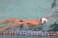 WHS_sw-b_14