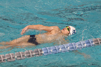 WHS_sw-b_19