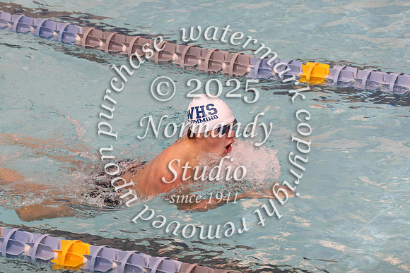 WHS_sw-b_50