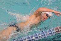 WHS_sw-b_01