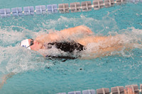 WHS_sw-g_09
