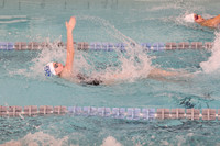 WHS_sw-g_10