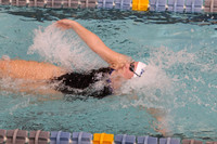 WHS_sw-g_11