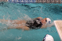 WHS_sw-g_13