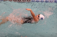 WHS_sw-g_12