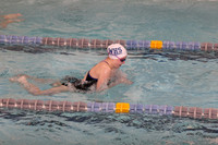 WHS_sw-g_15