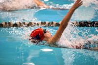 SWIMMING GIRLS