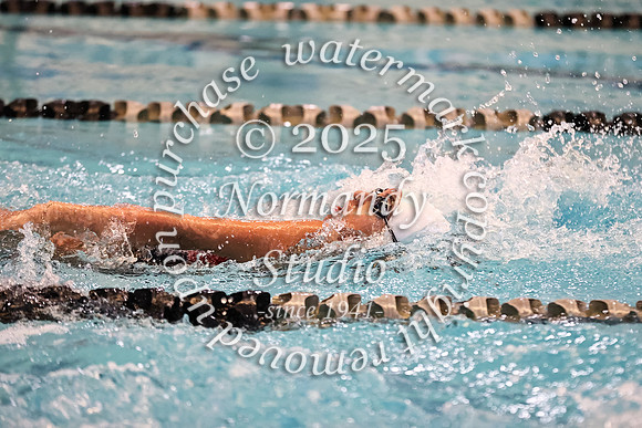 MNP_sw-g_39