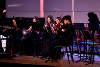 BER_concert_12