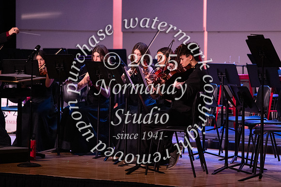 BER_concert_12