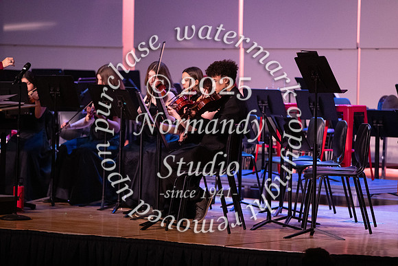 BER_concert_18