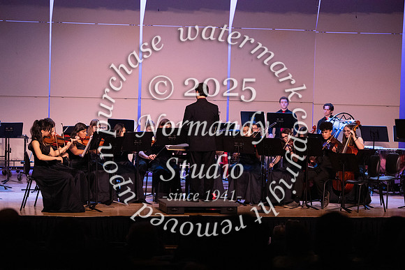 BER_concert_33