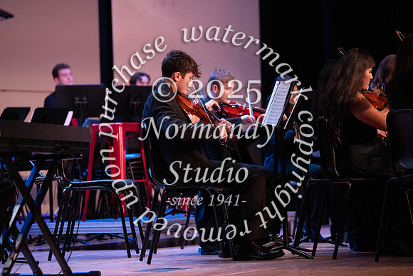 BER_concert_36