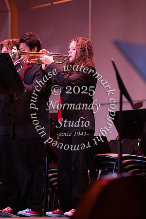 BER_concert_56