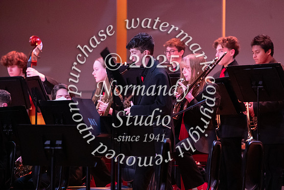 BER_concert_66