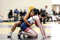 WRESTLING GIRLS