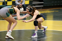 WRESTLING GIRLS