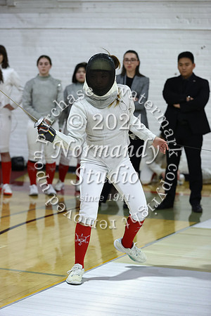 BER_fe-g_060