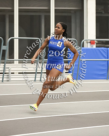 WHS_tr-g_80