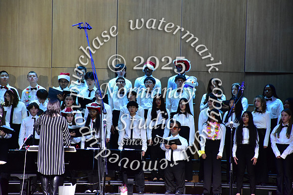 WTG_concert_29