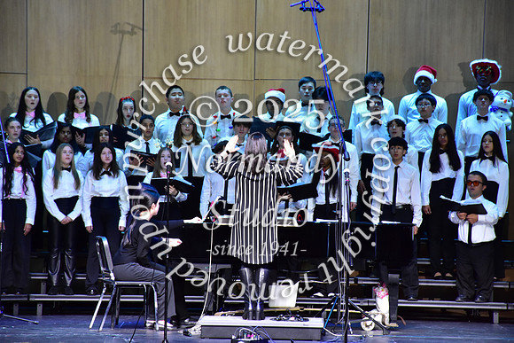 WTG_concert_30