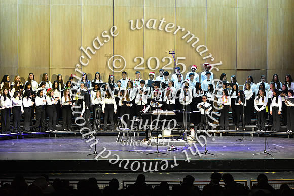WTG_concert_42