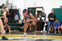 WRESTLING GIRLS