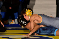 CHS_wr_17