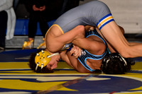 CHS_wr_20