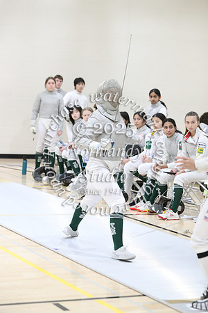 RDG_fe-g_32