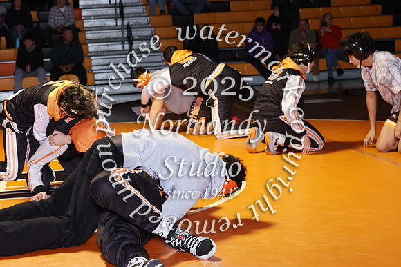 SVL_wr-v_009
